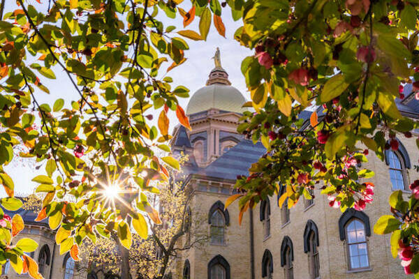 The Notre Dame golden dome surrounded with green foliage and pink flowers.